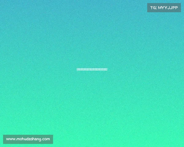 旱地冰球赛事、旱地冰球正式比赛有几名裁判